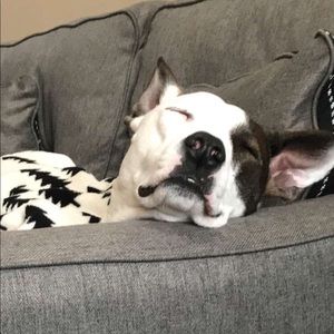 Meet your Posher, Natalie